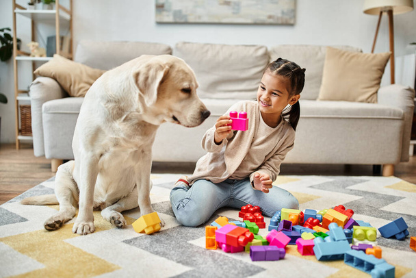 menina feliz jogando com blocos de brinquedo coloridos perto labrador na sala de estar, jogo de torre de construção - Foto, Imagem