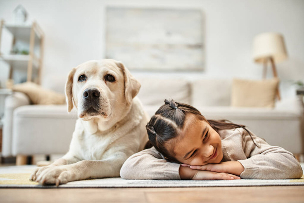 bonito elementar idade menina no casual desgaste deitado no tapete com labrador na moderna sala de estar - Foto, Imagem