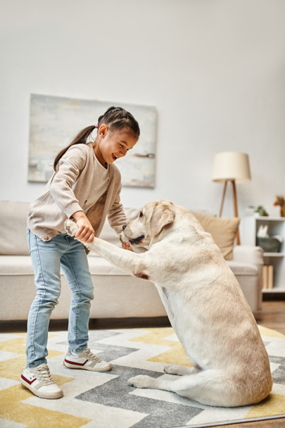 šťastná dívka v ležérní oblečení školení labrador v moderním obývacím pokoji, kopat dávat tlapky na dítě - Fotografie, Obrázek