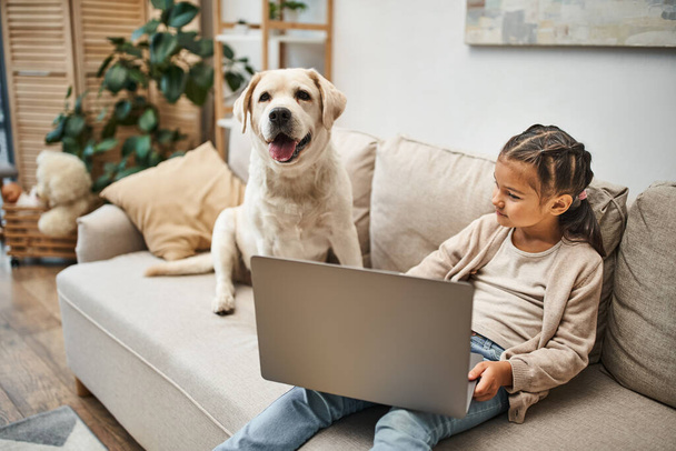 χαριτωμένο κορίτσι στοιχειώδη ηλικία κάθεται στον καναπέ και τη χρήση φορητού υπολογιστή κοντά labrador σκυλί στο σύγχρονο διαμέρισμα - Φωτογραφία, εικόνα