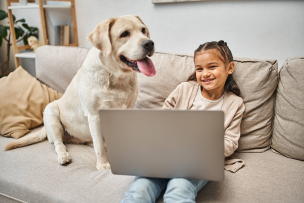 現代のリビングルームのラブラドール犬の近くでソファーに座ってラップトップを使用して幸せな小学生 - 写真・画像