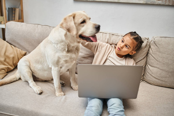 aufgeregtes Mädchen im Grundschulalter sitzt auf Sofa und benutzt Laptop neben Labrador-Hund im Wohnzimmer - Foto, Bild