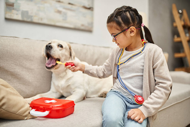 enfant heureux en tenue décontractée et lunettes jouant médecin avec chien labrador sur canapé dans le salon - Photo, image
