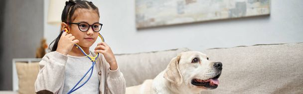 gelukkig meisje in casual kleding en bril spelen arts met labrador hond in de woonkamer, banner - Foto, afbeelding