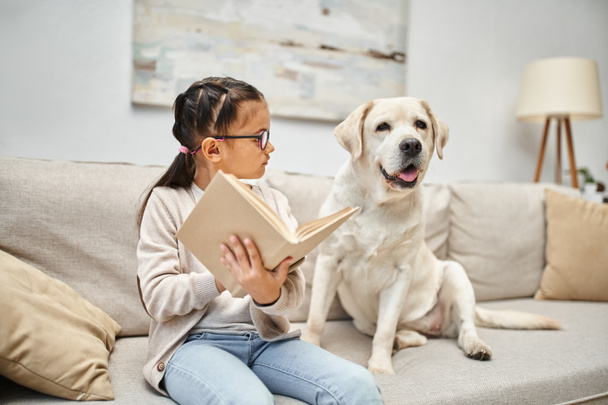 smart girl in casual wear and eyeglasses reading book to labrador dog on sofa in living room - Photo, Image