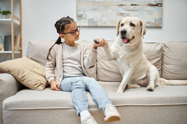happy elementary age girl in eyeglasses holding paw of labrador and sitting on sofa in living room - Photo, Image