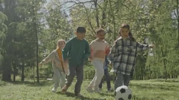 Largura completa toma en cámara lenta del grupo de niños alegres corriendo hacia la cámara, sonriendo y pateando la pelota de fútbol mientras juega en el parque en el día de verano - Metraje, vídeo