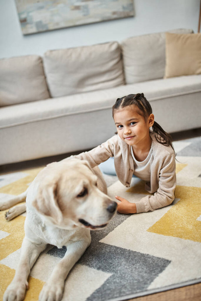 cute elementary age girl in casual attire lying on carpet with labrador in modern living room - Photo, Image