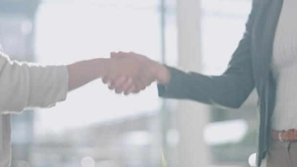 Closeup, handshake and office for agreement, welcome and respect with kindness, hiring or recruitment. Business people, woman and manager with shaking hands, onboarding or human resources at agency. - Footage, Video