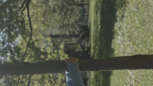 Pionowe ujęcie podekscytowanego chłopca biegającego po drzewie podczas zabawy w parku w letni dzień - Materiał filmowy, wideo