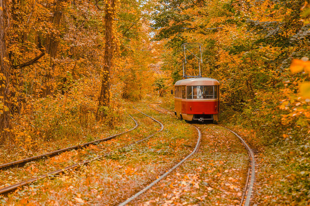Bosque de otoño a través del cual viaja el tranvía, Kiev y los carriles de primer plano - Foto, Imagen