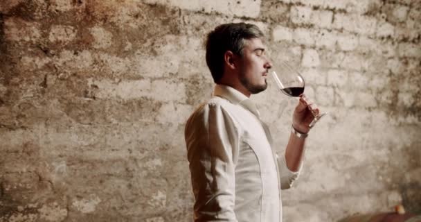 Şarap garsonluğu yapan ve şaraphanede kırmızı şarap içen adam. Şarap mahzeninde alkol tüketimi. Yetişkin erkek, cam domuz.. - Video, Çekim
