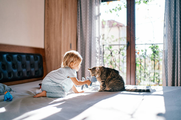 Tabby cat sniffs a soft toy in the hands of a little girl sitting on the bed. High quality photo - Photo, Image