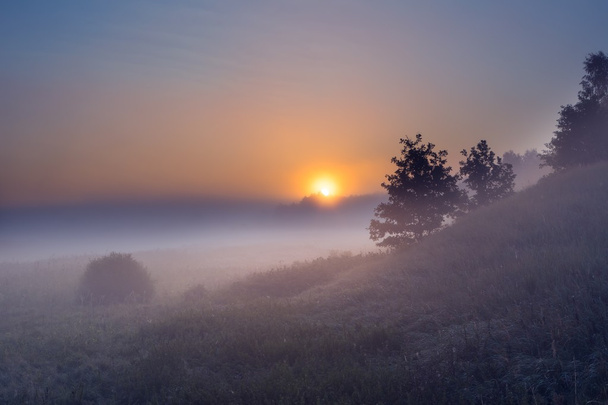 Sumuinen aamu puolalaisella niityllä
 - Valokuva, kuva