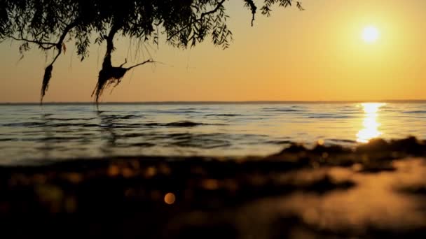 Meditativní záběr zapadajícího letního slunce, klidné vlny na písčitém břehu a stěhovaví ptáci na obzoru - Záběry, video