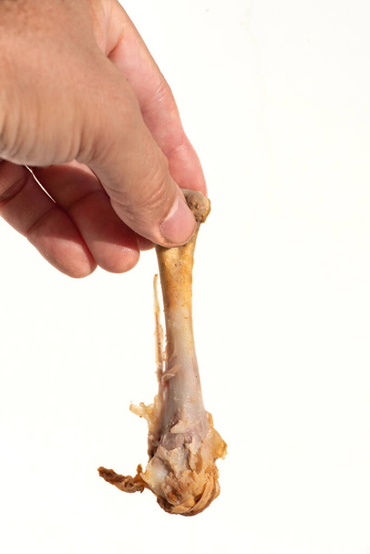 Αρσενικό χέρι κρατά ένα κόκαλο κοτόπουλου ανάμεσα στα δάχτυλά του - Φωτογραφία, εικόνα