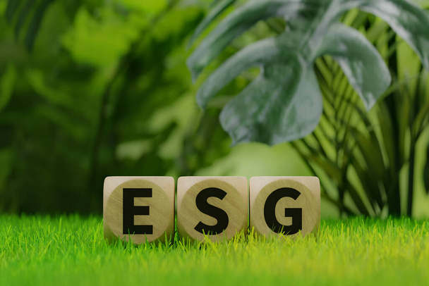 Ein Textwürfel mit der Aufschrift "ESG" auf dem Gras des Waldes, 3D-Darstellung - Foto, Bild