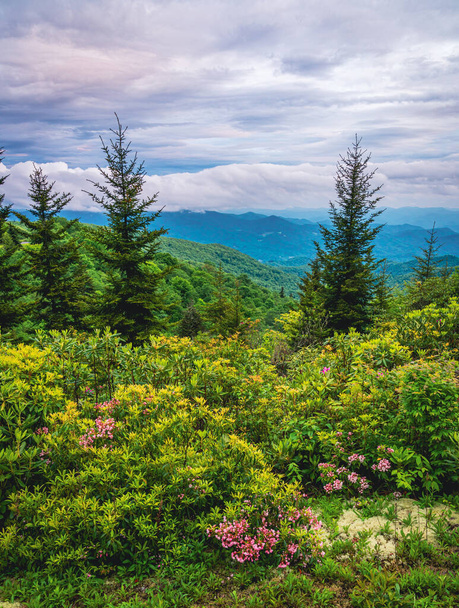 Vista panorâmica das montanhas Smokie de Blue Ridge Parkway perto de Maggie Valley, Carolina do Norte - Foto, Imagem
