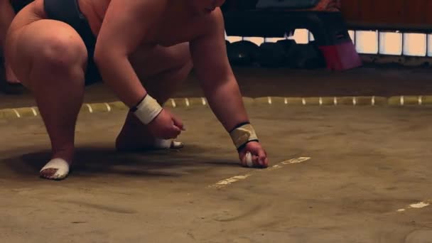 Sumo Sport man Op de laatste ronde dag van Japan Sumo Toernooi competitie, Tokio - Video