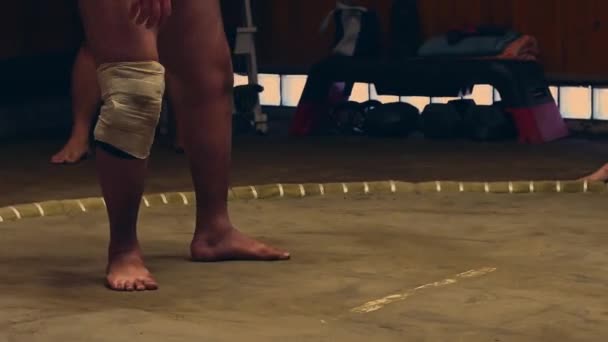 Sumo Sport man Op de laatste ronde dag van Japan Sumo Toernooi competitie, Tokio - Video