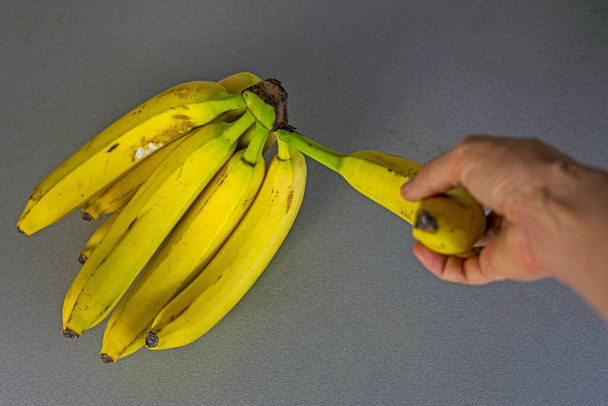 oderwanie jednego banana od bananów leżących w kuchni. - Zdjęcie, obraz