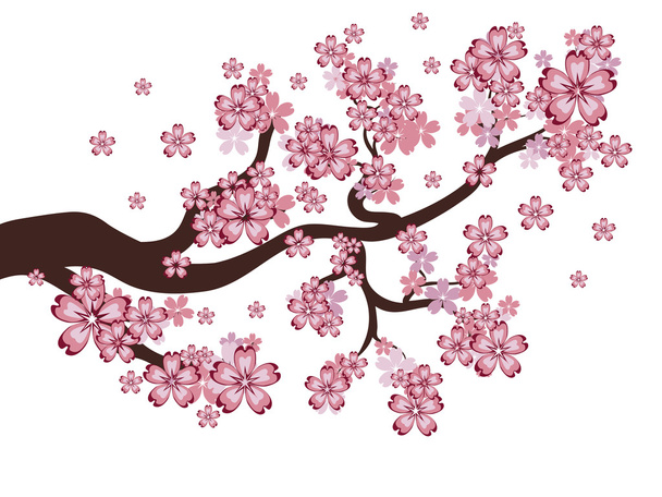 Bloeiende Sakura tak - Vector, afbeelding