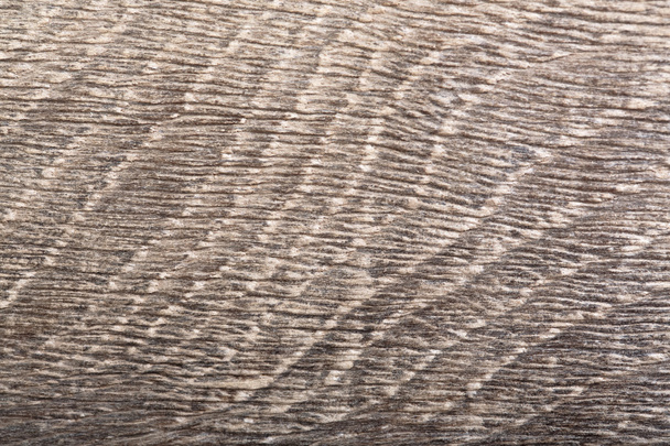 De grijze oude hout (moeras eik). Textuur. - Foto, afbeelding