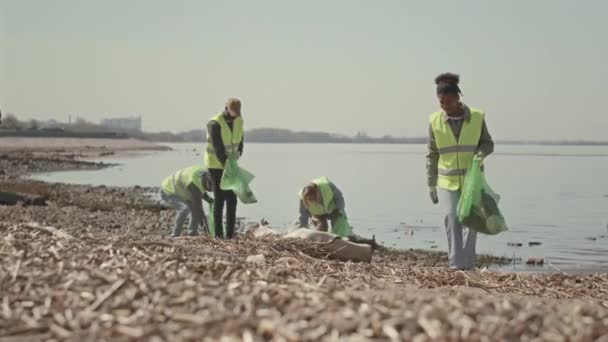 Pełne ujęcie grupy wolontariuszy środowiskowych w neonowych zielonych kamizelkach i rękawiczkach spacerujących po brzegu i zbierających odpady do worków na śmieci - Materiał filmowy, wideo