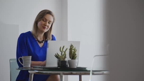 Femme entrepreneur avec ordinateur portable travaille dans le bureau. - Séquence, vidéo