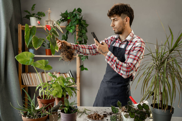 Hobby, junger Mann mit Handy, Fotografieren von Topf, Zimmerpflanze mit Erde zu Hause, Gartenbaumpflanze in Gartenbaubetrieb. Kopierraum - Foto, Bild