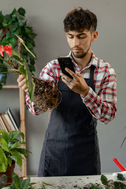 ガーデニングコンセプト。 若い庭師の男性写真家グリーンプラントは,自宅でスマートフォンを使用しています. モバイルアプリケーションで屋内植物のケアを共有します. コピースペース - 写真・画像
