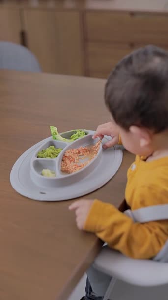 Vista superior de un plato blw con comida, mientras que un niño come de ella. Bebé llevó concepto de destete - Imágenes, Vídeo