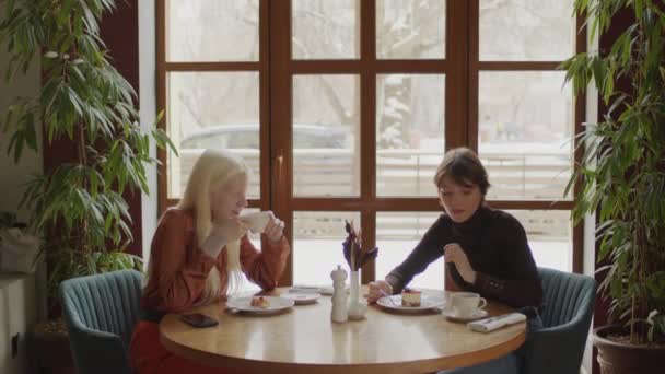 Portré két különböző generációs Z lányok töltenek szabadidőt együtt a modern étteremben eszik desszertek, kortyolgatva kávé italok és csevegés - Felvétel, videó