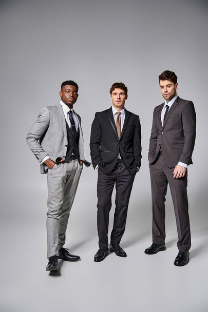 appealing stylish multiracial male models in business elegant smart suits posing on gray backdrop - Photo, Image
