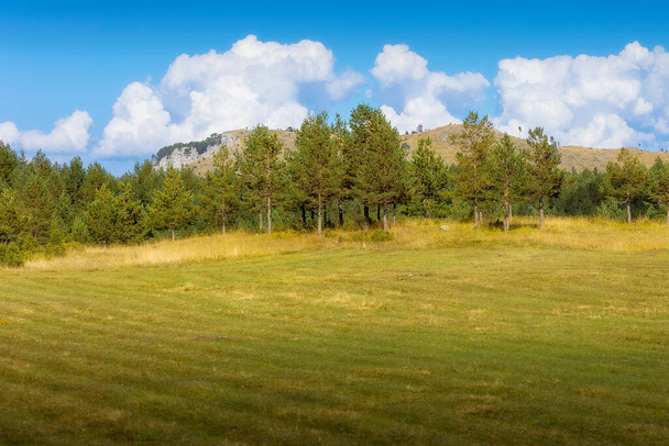 Durmitorské hory a stromová krajina, Černý národní park, léto - Fotografie, Obrázek