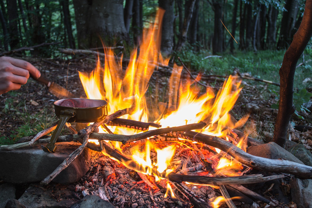 Fuego en camping en bosque de montaña
 - Foto, Imagen