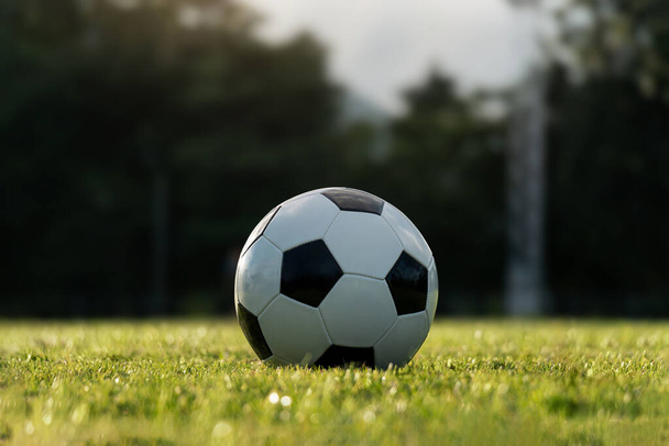 Fotbalový míč na trávníku mladých akademie praxe, fotbal sport a cvičení koncepce. - Fotografie, Obrázek