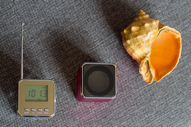 Natural wave. Portable radio receiver,mp3 player and Seashell. - Photo, Image