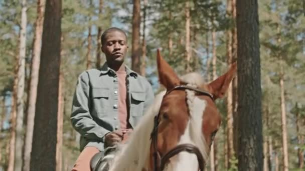 Low angle slow motion shot of young African American man riding horse in forest on sunny day - Footage, Video