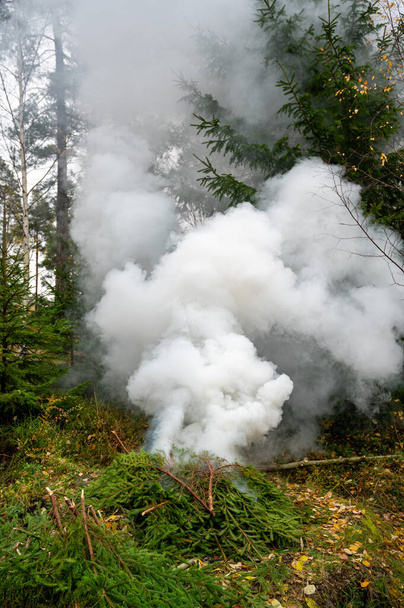 Płonące gałązki z drzew w ogrodzie 4 listopad 2023 Motala Szwecja - Zdjęcie, obraz