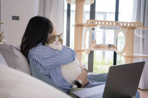 pet lover concept by asian woman she work and play with her cat - Foto, Imagen