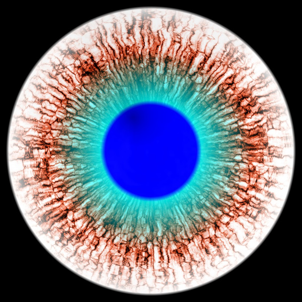 Œil bleu d'un animal dangereux avec iris coloré. Vue détaillée dans une ampoule isolée
 - Photo, image