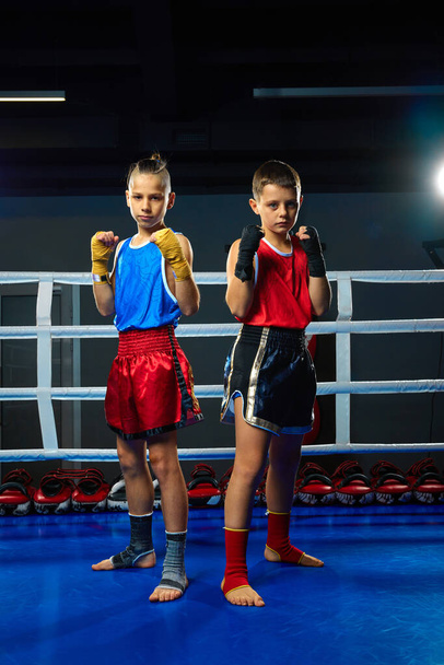 full length portrait of two little athletic boys, professional MMA sportsman, kickboxers stands on ring and posing before fight. Concept of sport, healthy lifestyle, hobby, workout, competition. - Photo, Image
