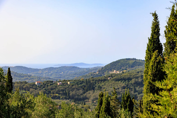 лесистые горы и оливковые плантации на севере острова Корфу - Фото, изображение