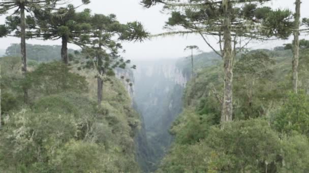 Itaimbezinho kanjoni Aparados da Serran kansallispuistossa, joka sijaitsee Rio Grande do Sulin Serra Geralin alueella ja Santa Catarinassa rannikkometsien, niittyjen ja Araucarian kosteiden metsien välillä. - Materiaali, video