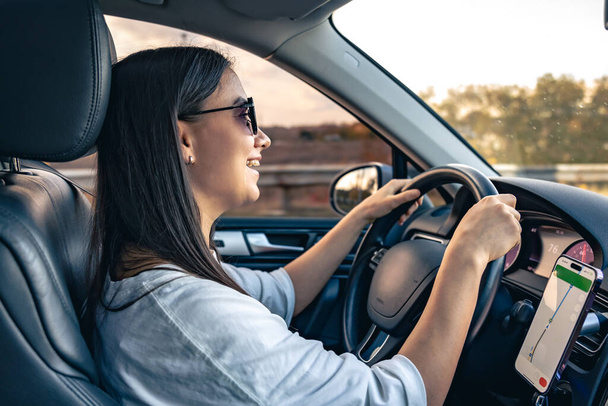 Atrakcyjna młoda kobieta jeżdżąca samochodem używa nawigatora w swoim smartfonie. - Zdjęcie, obraz