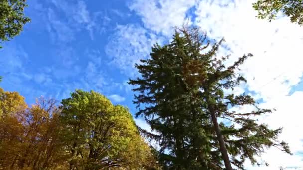 Running white clouds over a colorful autumn forest. - Footage, Video