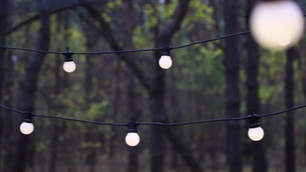 Een slinger van gloeilampen in het bos. Hoge kwaliteit FullHD beeldmateriaal - Video