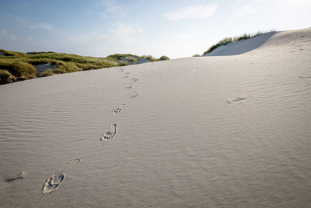 jalanjäljet hiekkarannalla - Valokuva, kuva