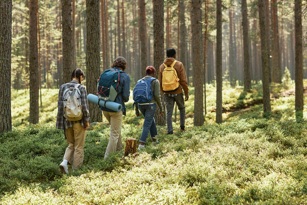 Vista trasera del grupo de personas con mochilas caminando a lo largo del sendero en el bosque durante su caminata - Foto, imagen